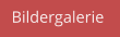 Bildergalerie